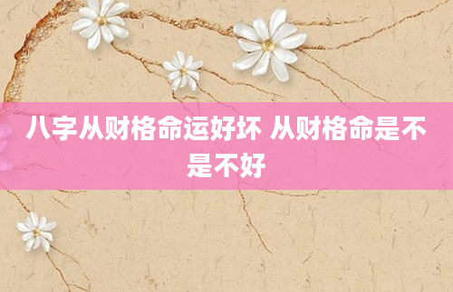 八字从财格命运好坏 从财格命是不是不好