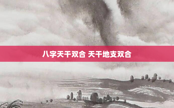 八字天干双合 天干地支双合
