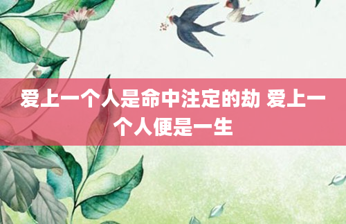 爱上一个人是命中注定的劫 爱上一个人便是一生