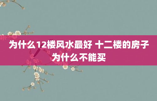 为什么12楼风水最好 十二楼的房子为什么不能买