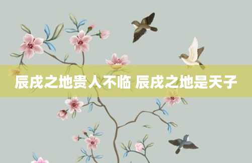 辰戌之地贵人不临 辰戌之地是天子