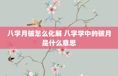 八字月破怎么化解 八字学中的破月是什么意思