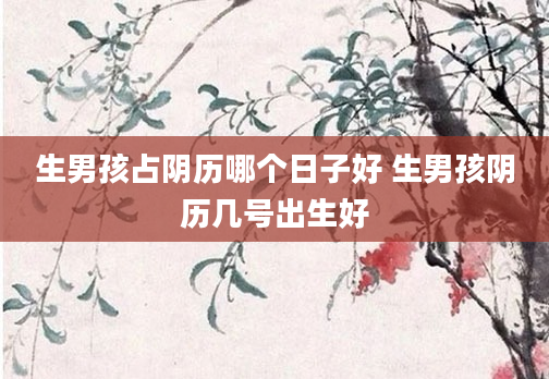 生男孩占阴历哪个日子好 生男孩阴历几号出生好