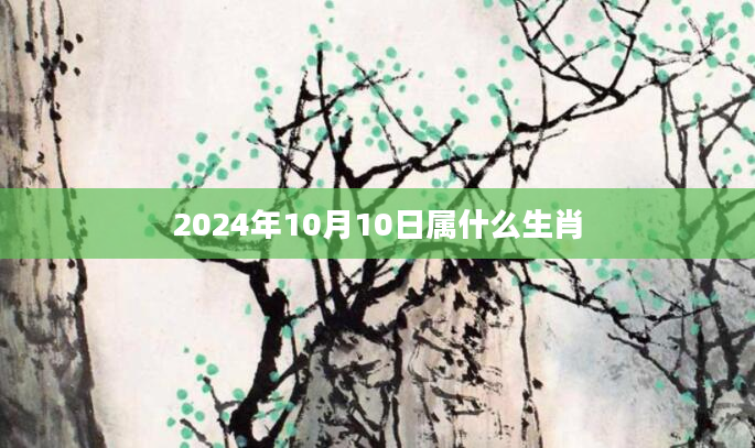 2024年10月10日属什么生肖