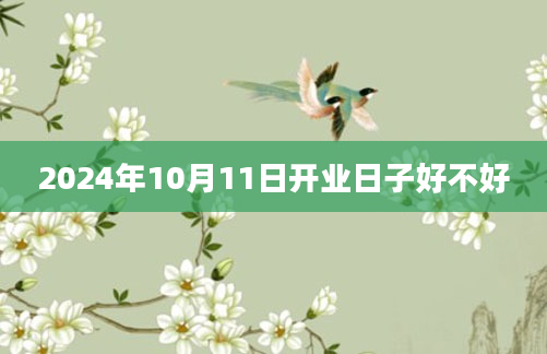 2024年10月11日开业日子好不好