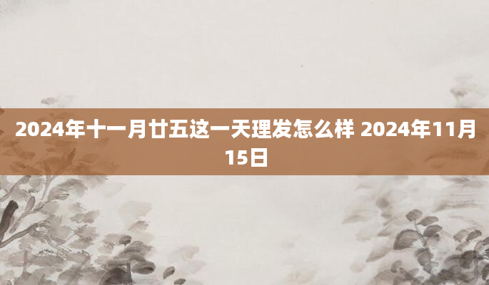 2024年十一月廿五这一天理发怎么样 2024年11月15日