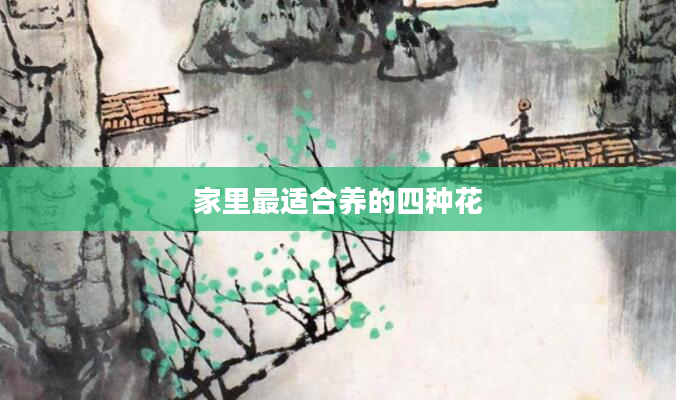 家里最适合养的四种花