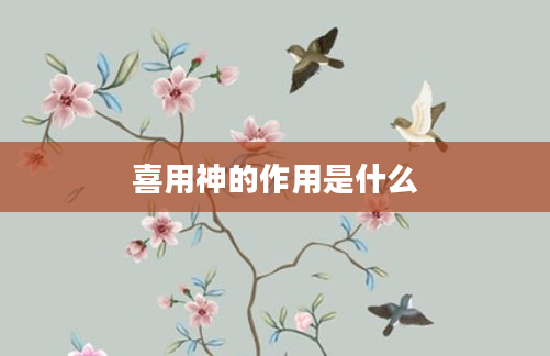 喜用神的作用是什么