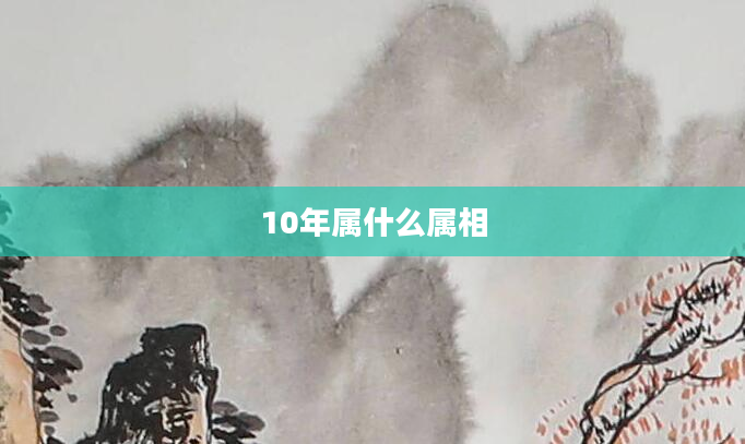 10年属什么属相