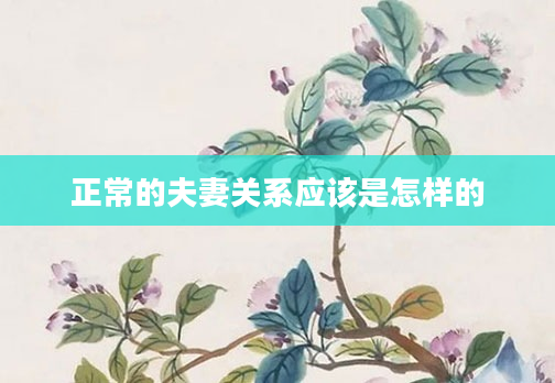 正常的夫妻关系应该是怎样的