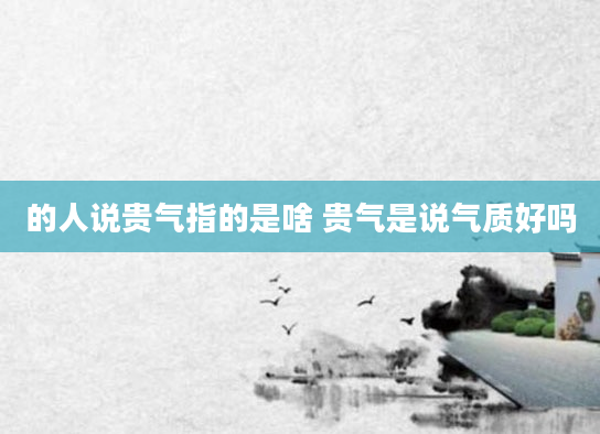的人说贵气指的是啥 贵气是说气质好吗