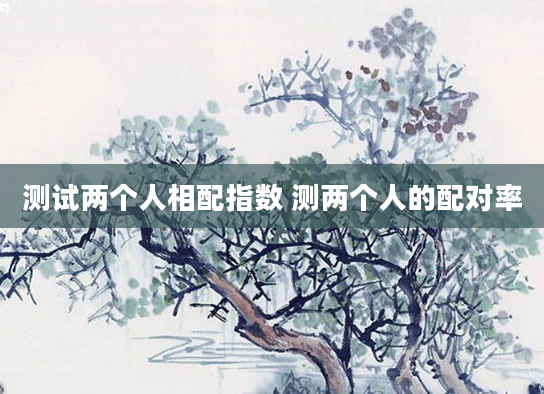 测试两个人相配指数 测两个人的配对率