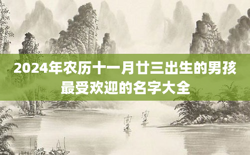 2024年农历十一月廿三出生的男孩最受欢迎的名字大全