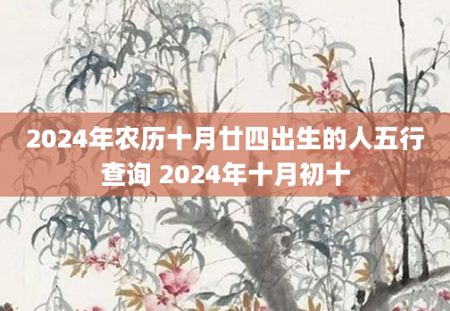 2024年农历十月廿四出生的人五行查询 2024年十月初十