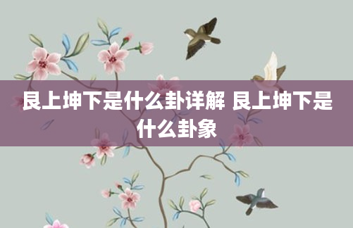 艮上坤下是什么卦详解 艮上坤下是什么卦象