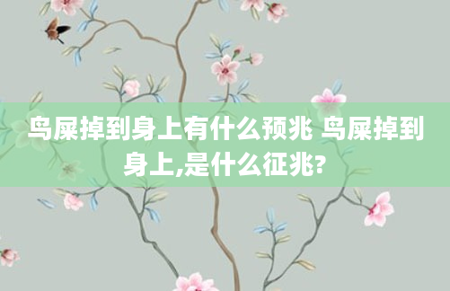 鸟屎掉到身上有什么预兆 鸟屎掉到身上,是什么征兆?