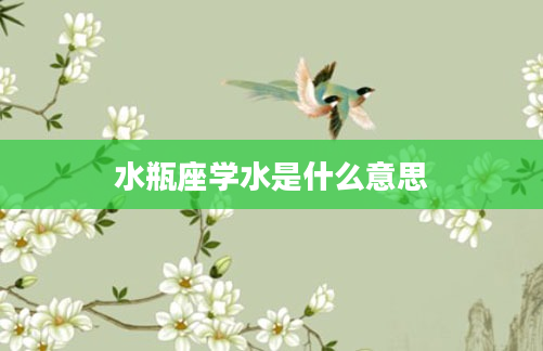 水瓶座学水是什么意思