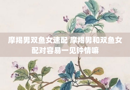 摩羯男双鱼女速配 摩羯男和双鱼女配对容易一见钟情嘛
