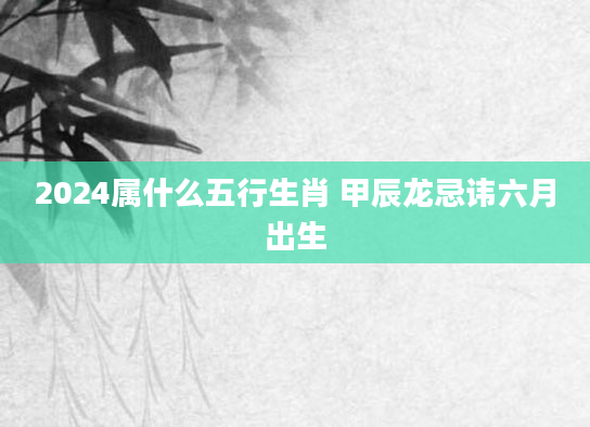 2024属什么五行生肖 甲辰龙忌讳六月出生