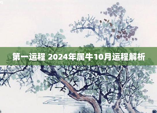 第一运程 2024年属牛10月运程解析