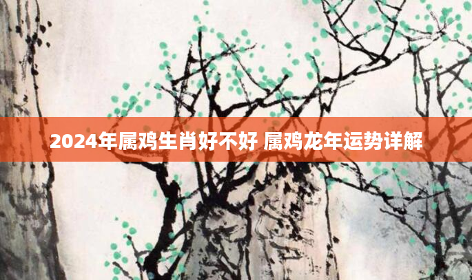 2024年属鸡生肖好不好 属鸡龙年运势详解