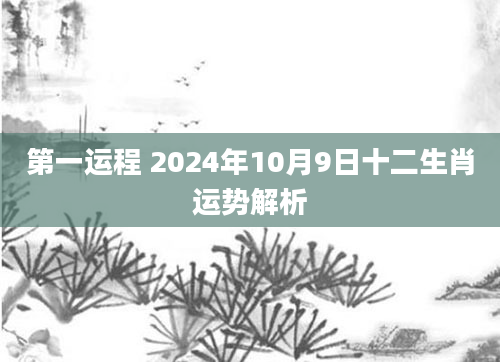 第一运程 2024年10月9日十二生肖运势解析