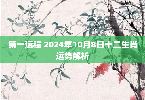 第一运程 2024年10月8日十二生肖运势解析