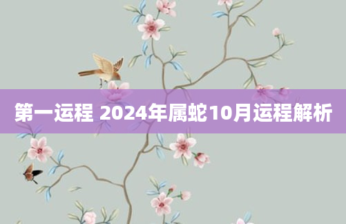第一运程 2024年属蛇10月运程解析