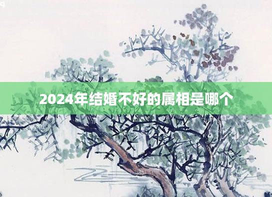 2024年结婚不好的属相是哪个
