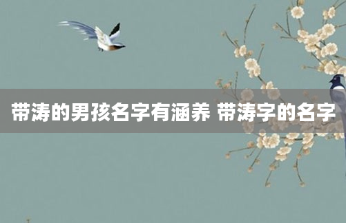 带涛的男孩名字有涵养 带涛字的名字