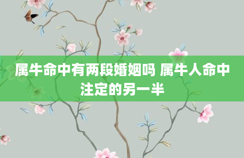属牛命中有两段婚姻吗 属牛人命中注定的另一半