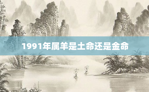 1991年属羊是土命还是金命