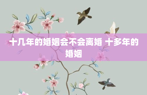 十几年的婚姻会不会离婚 十多年的婚姻