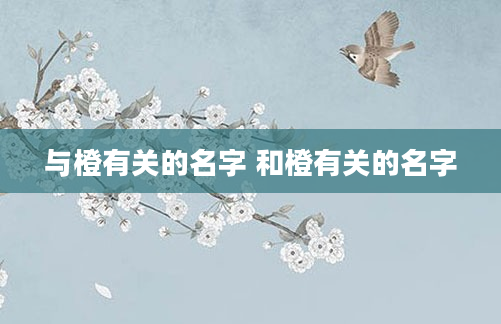 与橙有关的名字 和橙有关的名字