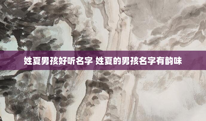 姓夏男孩好听名字 姓夏的男孩名字有韵味