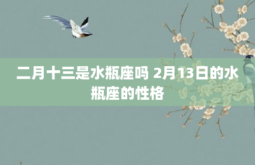 二月十三是水瓶座吗 2月13日的水瓶座的性格