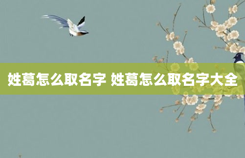 姓葛怎么取名字 姓葛怎么取名字大全