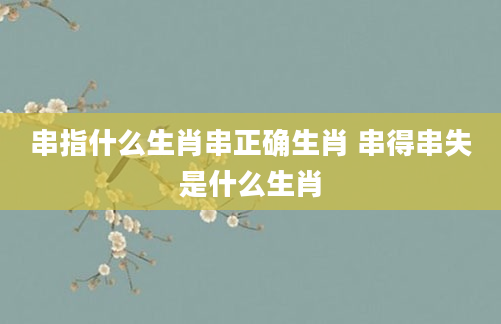 串指什么生肖串正确生肖 串得串失是什么生肖