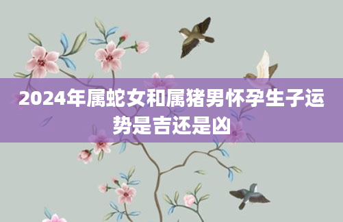2024年属蛇女和属猪男怀孕生子运势是吉还是凶
