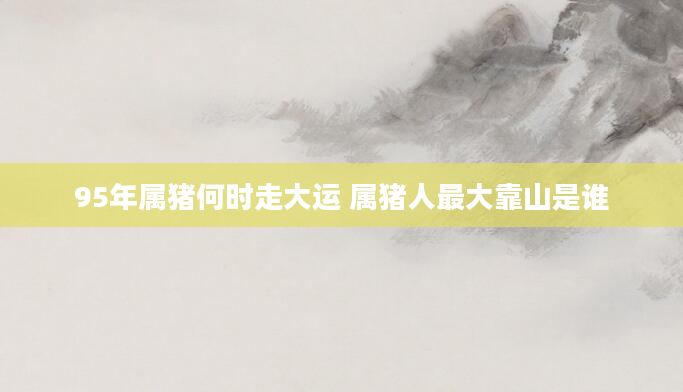 95年属猪何时走大运 属猪人最大靠山是谁