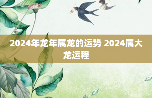 2024年龙年属龙的运势 2024属大龙运程
