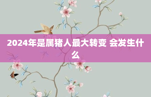 2024年是属猪人最大转变 会发生什么