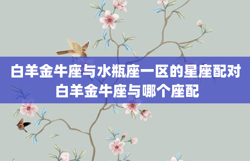 白羊金牛座与水瓶座一区的星座配对 白羊金牛座与哪个座配