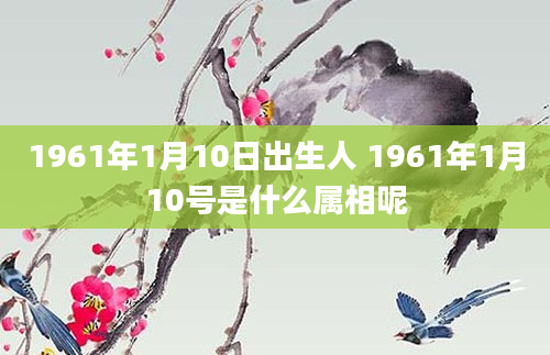 1961年1月10日出生人 1961年1月10号是什么属相呢