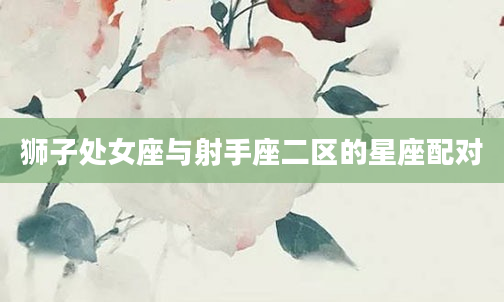 狮子处女座与射手座二区的星座配对
