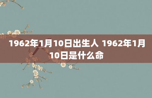 1962年1月10日出生人 1962年1月10日是什么命