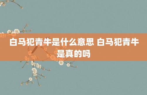白马犯青牛是什么意思 白马犯青牛是真的吗