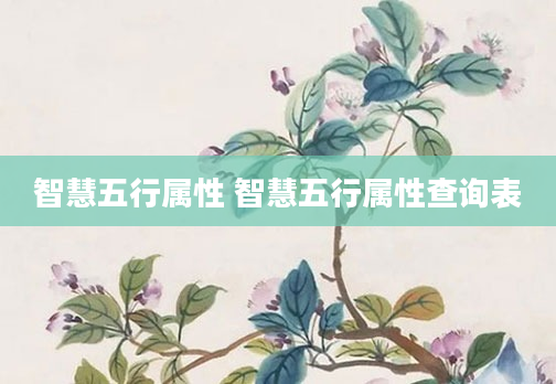 智慧五行属性 智慧五行属性查询表