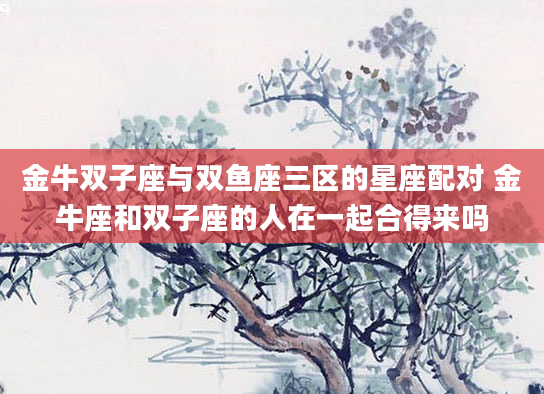 金牛双子座与双鱼座三区的星座配对 金牛座和双子座的人在一起合得来吗
