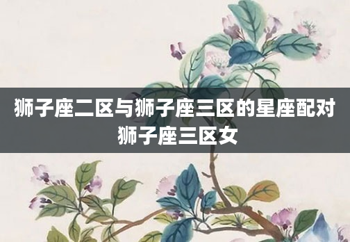 狮子座二区与狮子座三区的星座配对 狮子座三区女
